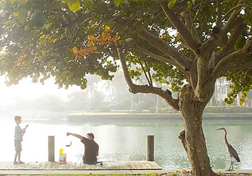 Morning Fog Dock Fishing in Longboat Key, FL